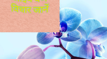 आइये वर्ण विचार जानें -हिंदी व्याकरण