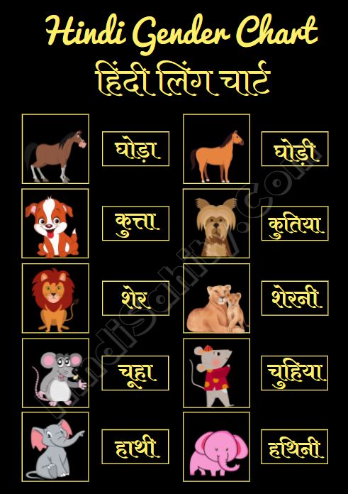 hindi gender chart animals