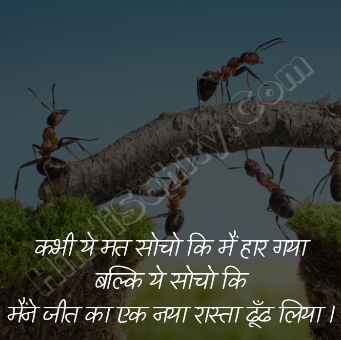 motivational quotes for success in hindi motivational quotes for success in hindi