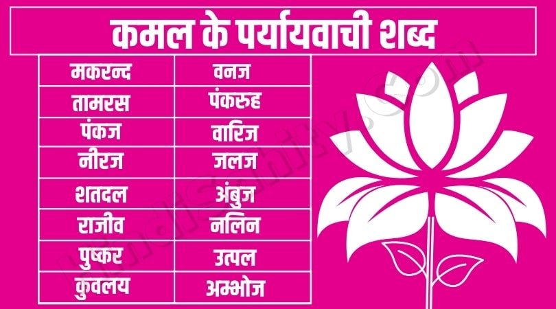 Indivar,sarsiz,sarsiruh,abj,koknad,nalin,padam,pathoj,ambhoj,kanj,pushkar,rajiv,shatdal,neeraj,pankaj,taamras,vanaz,makrand,shatdal,arvind,saroj,saroruh,varij,pundrik,indivar,kuvaly,utpal,rajiv,shatdal,neeraj,pankaj कमल का पर्यायवाची