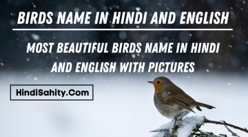 Birds Name in Hindi and English – पक्षियों के नाम
