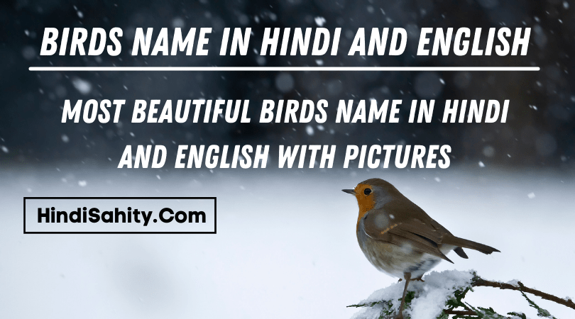 Birds Name in Hindi and English