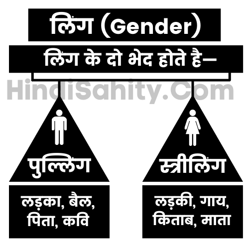 gender meaning in hindi